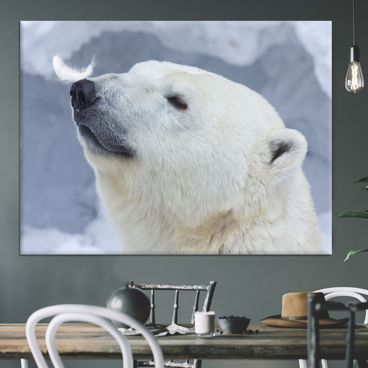 Polar bear White Canvas Print or Poster - 1x - 3
