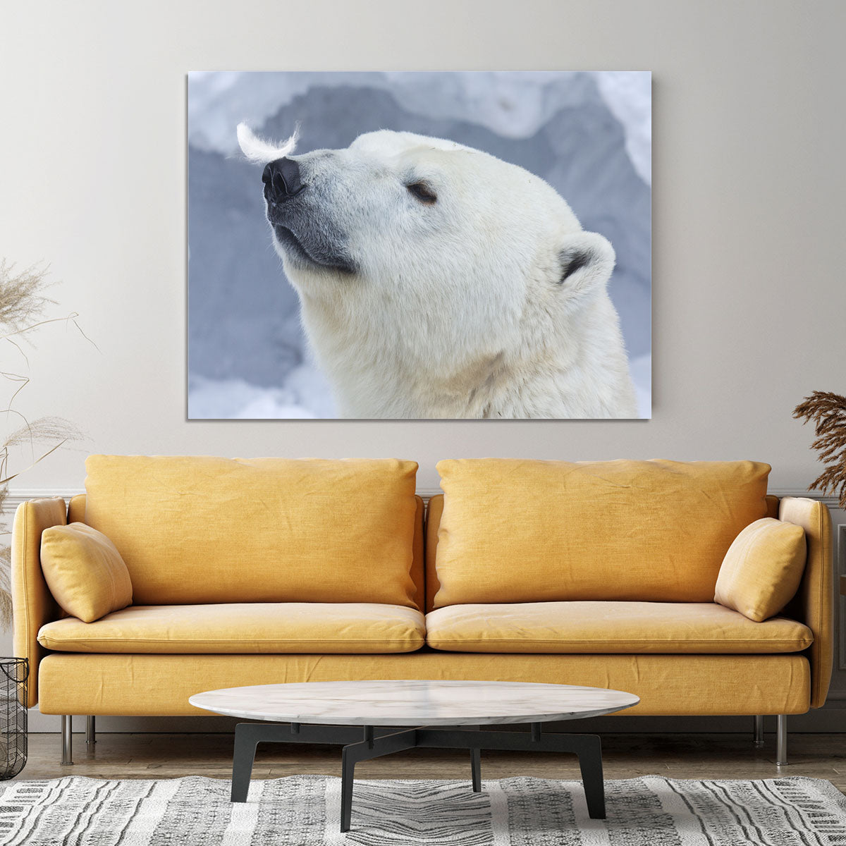 Polar bear White Canvas Print or Poster - 1x - 4
