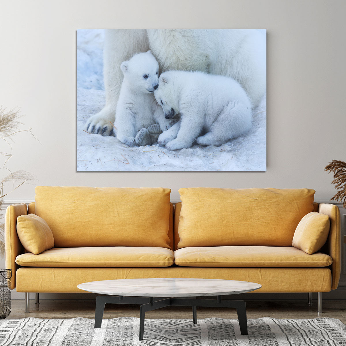 Polar bear cub Canvas Print or Poster - 1x - 4