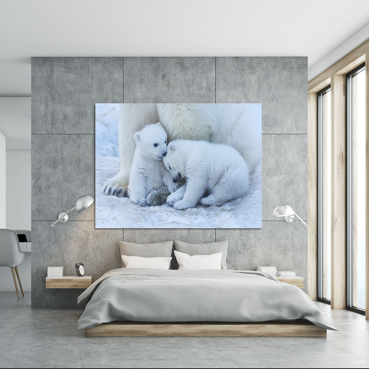 Polar bear cub Canvas Print or Poster - 1x - 5