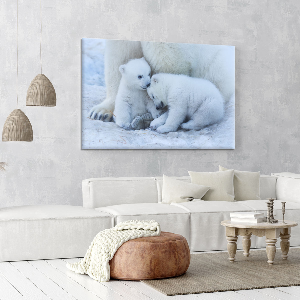 Polar bear cub Canvas Print or Poster - 1x - 6