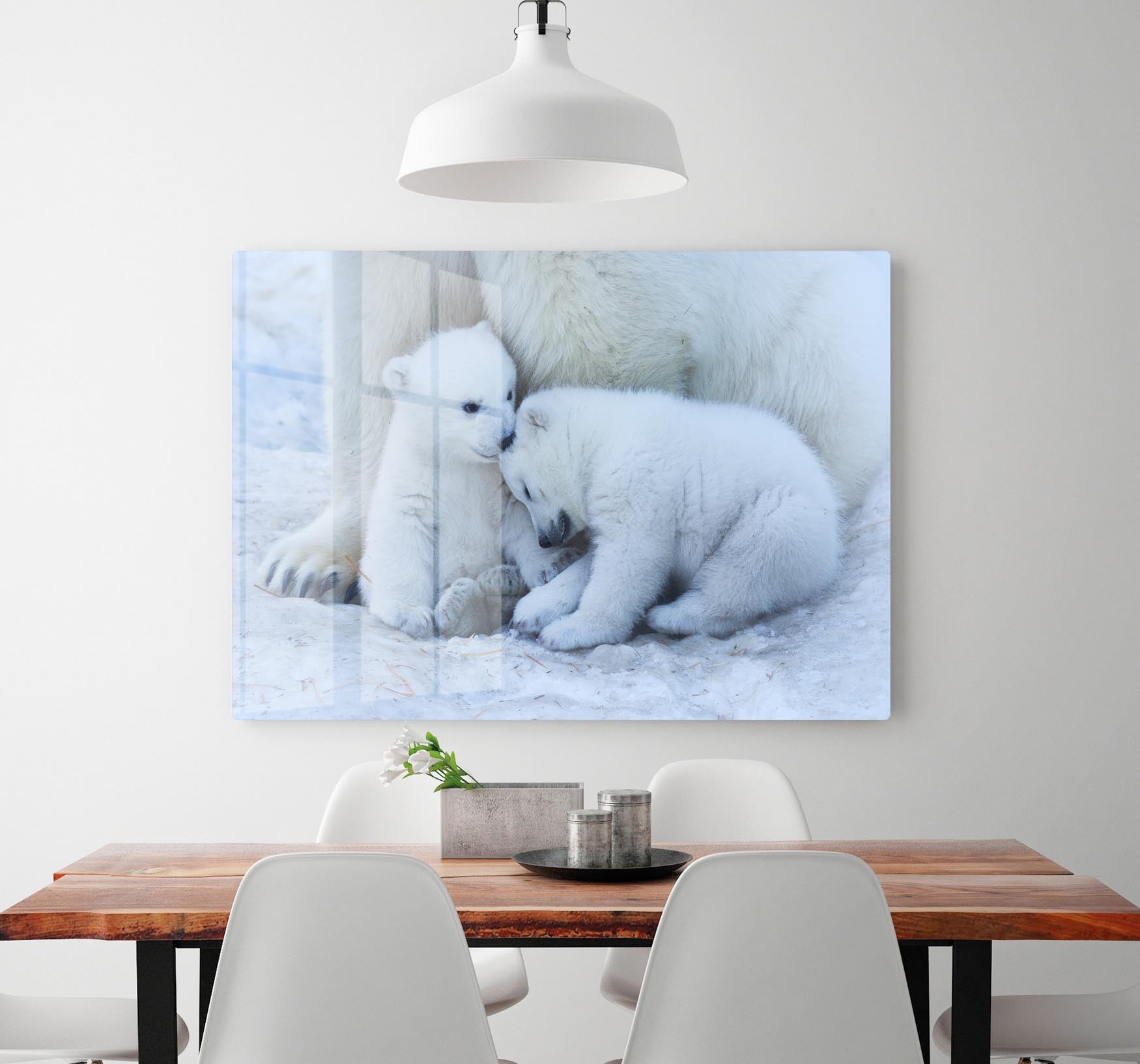 Polar bear cub Acrylic Block - 1x - 2