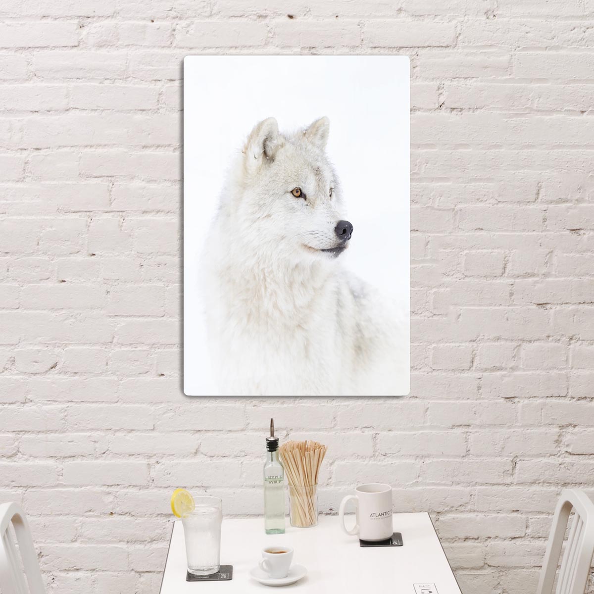 Portrait of an Arctic Wolf Acrylic Block - 1x - 3
