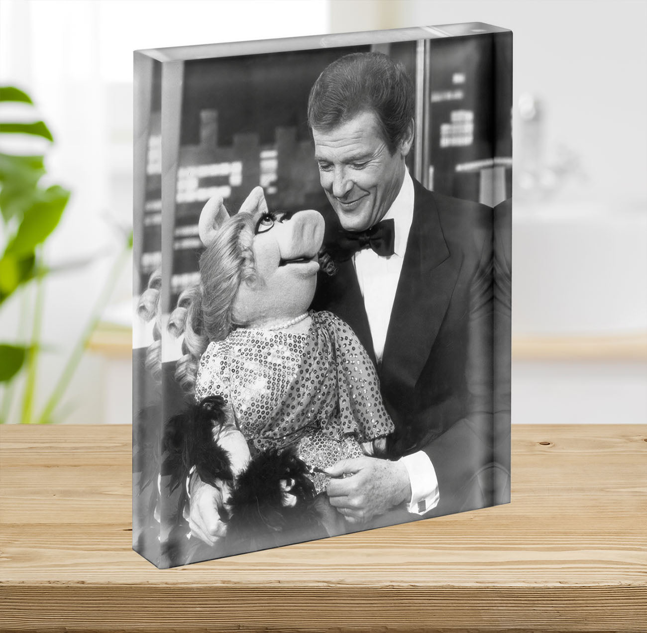 Roger Moore with Miss Piggy Acrylic Block - Canvas Art Rocks - 2