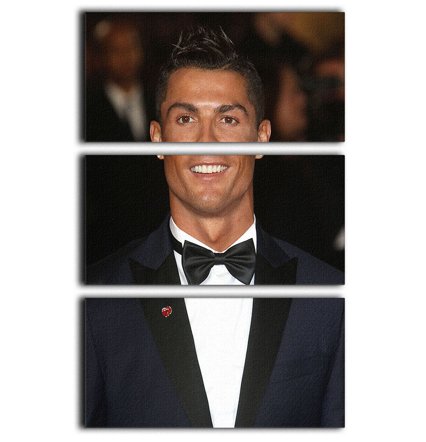 Ronaldo Wearing Poppy 3 Split Panel Canvas Print - Canvas Art Rocks - 1