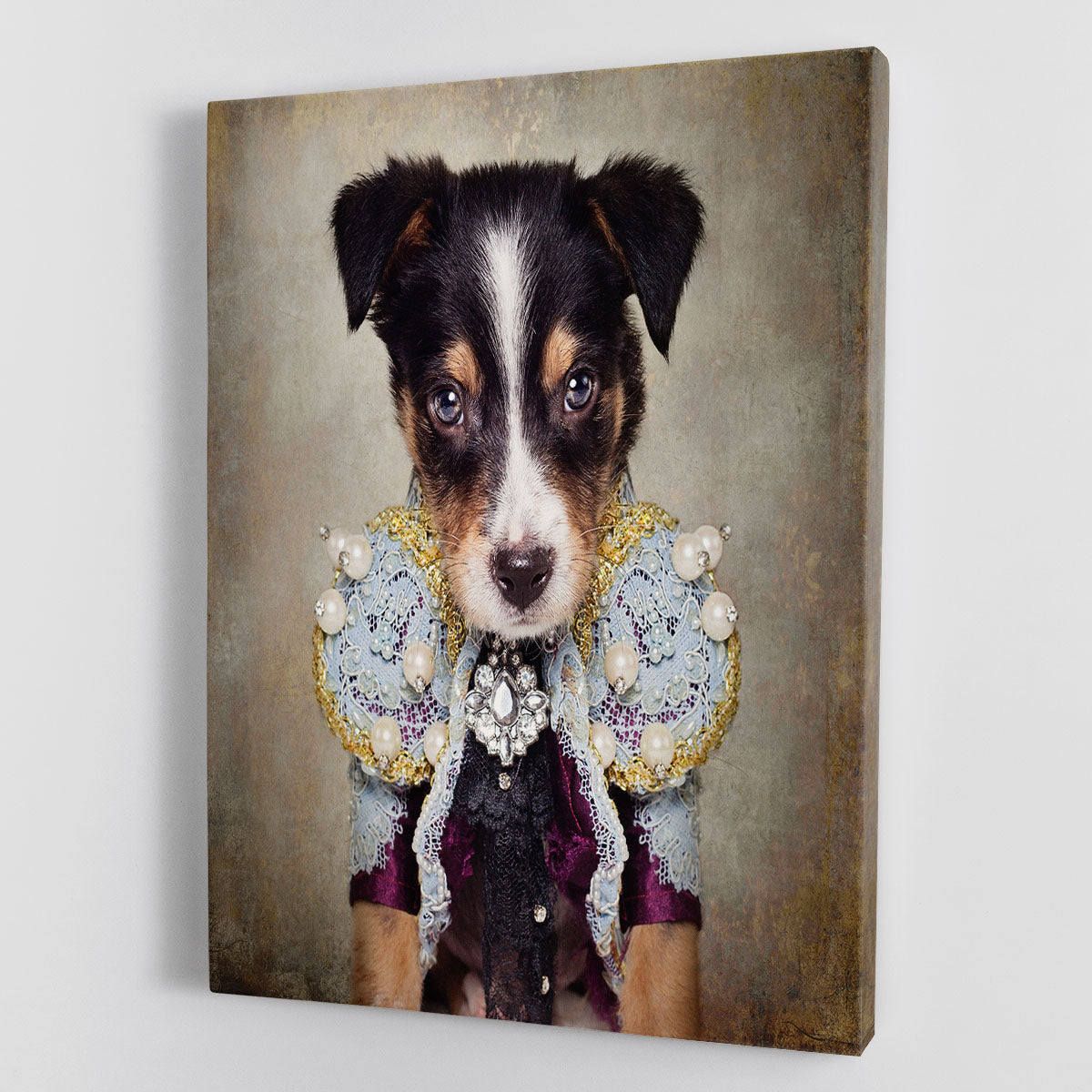 Shelter Pets Project Loki Canvas Print or Poster - 1x - 1
