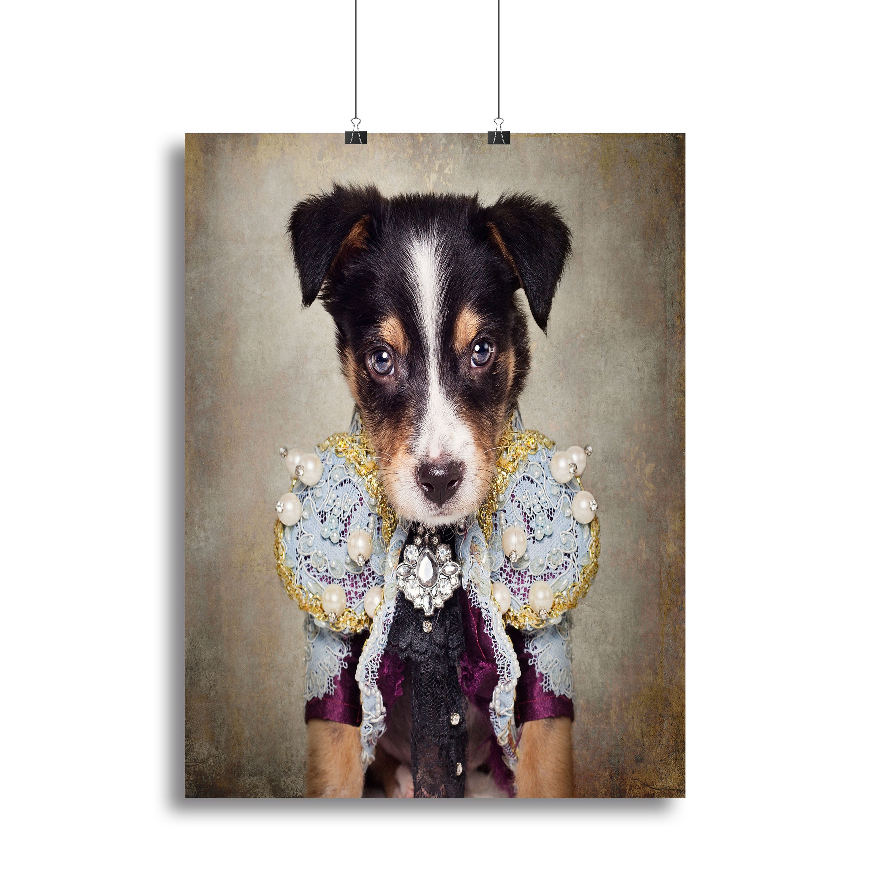 Shelter Pets Project Loki Canvas Print or Poster - 1x - 2