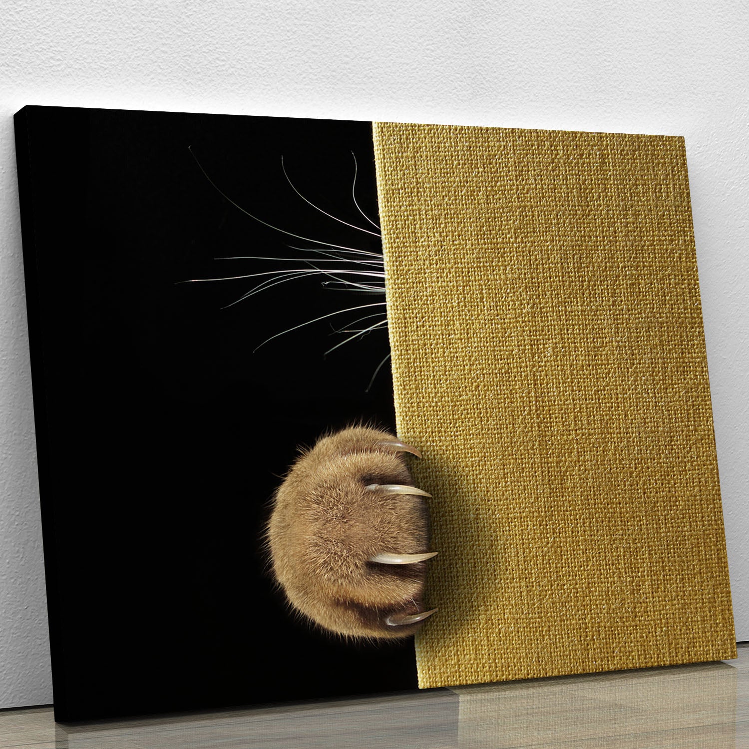 Shy cat Canvas Print or Poster - 1x - 1