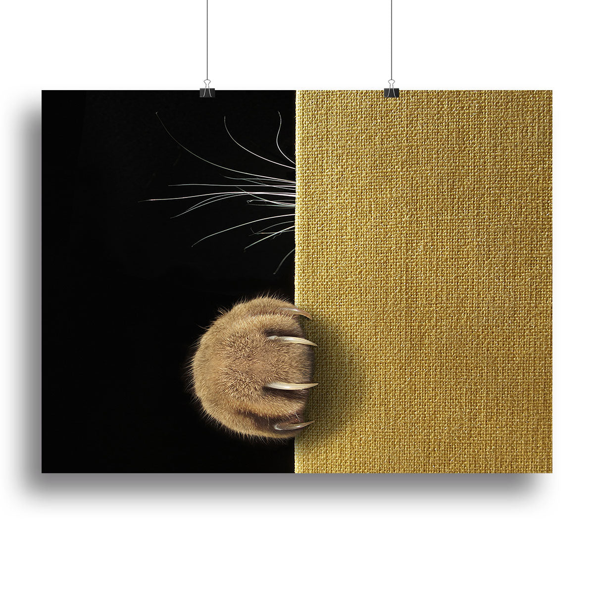 Shy cat Canvas Print or Poster - 1x - 2