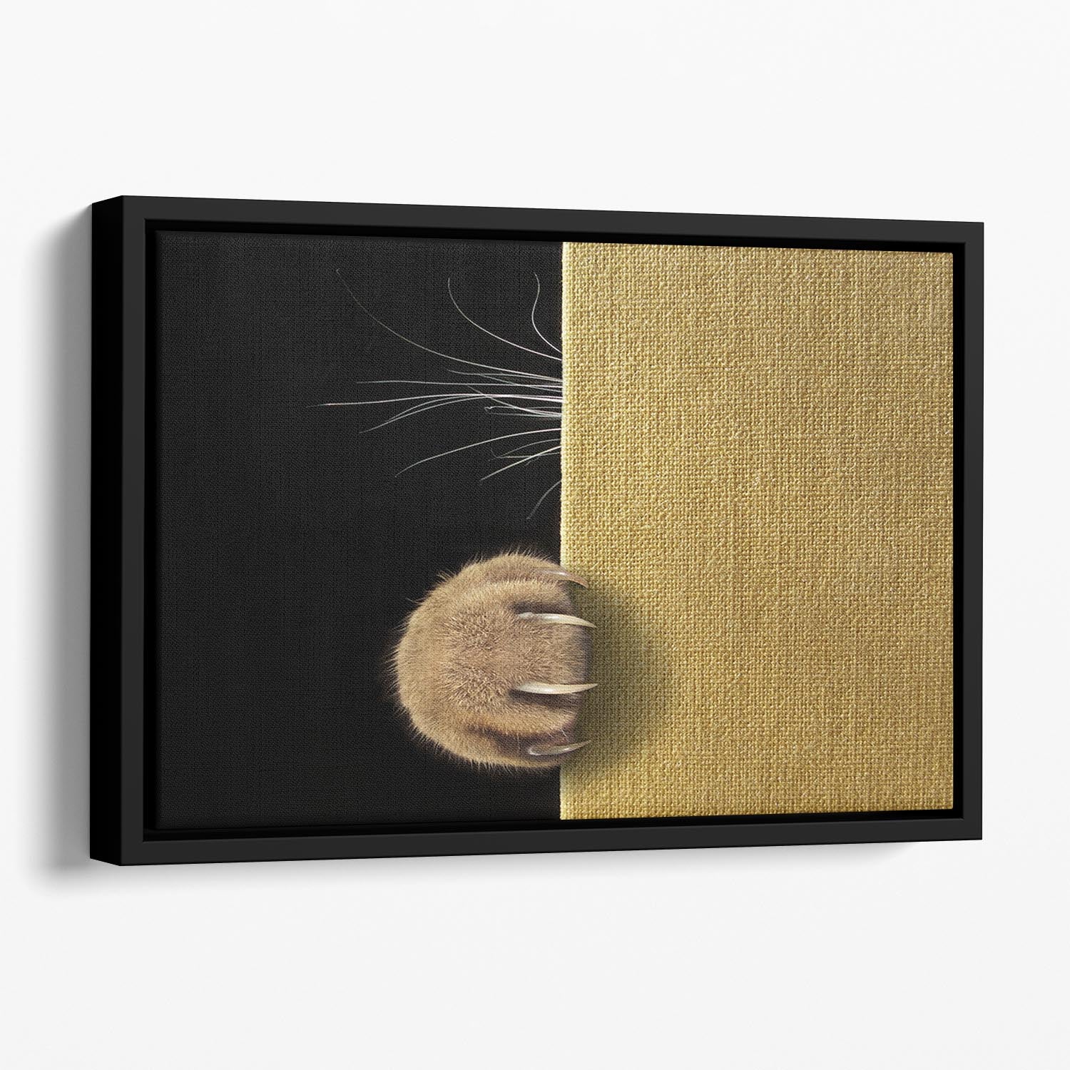Shy cat Floating Framed Canvas - 1x - 1