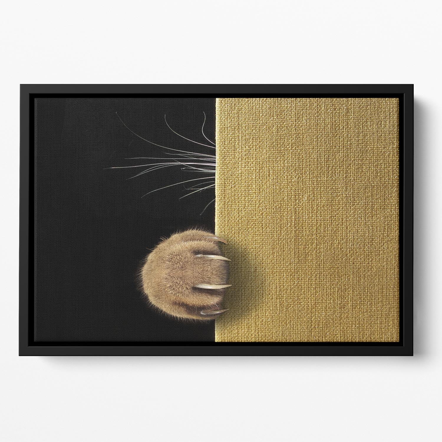 Shy cat Floating Framed Canvas - 1x - 2
