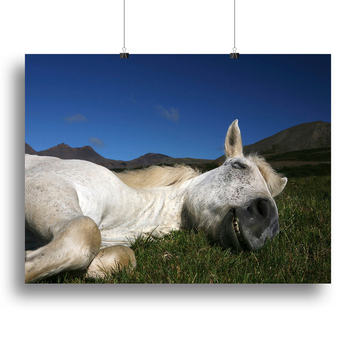 Sleeping Beauty Canvas Print or Poster - 1x - 2
