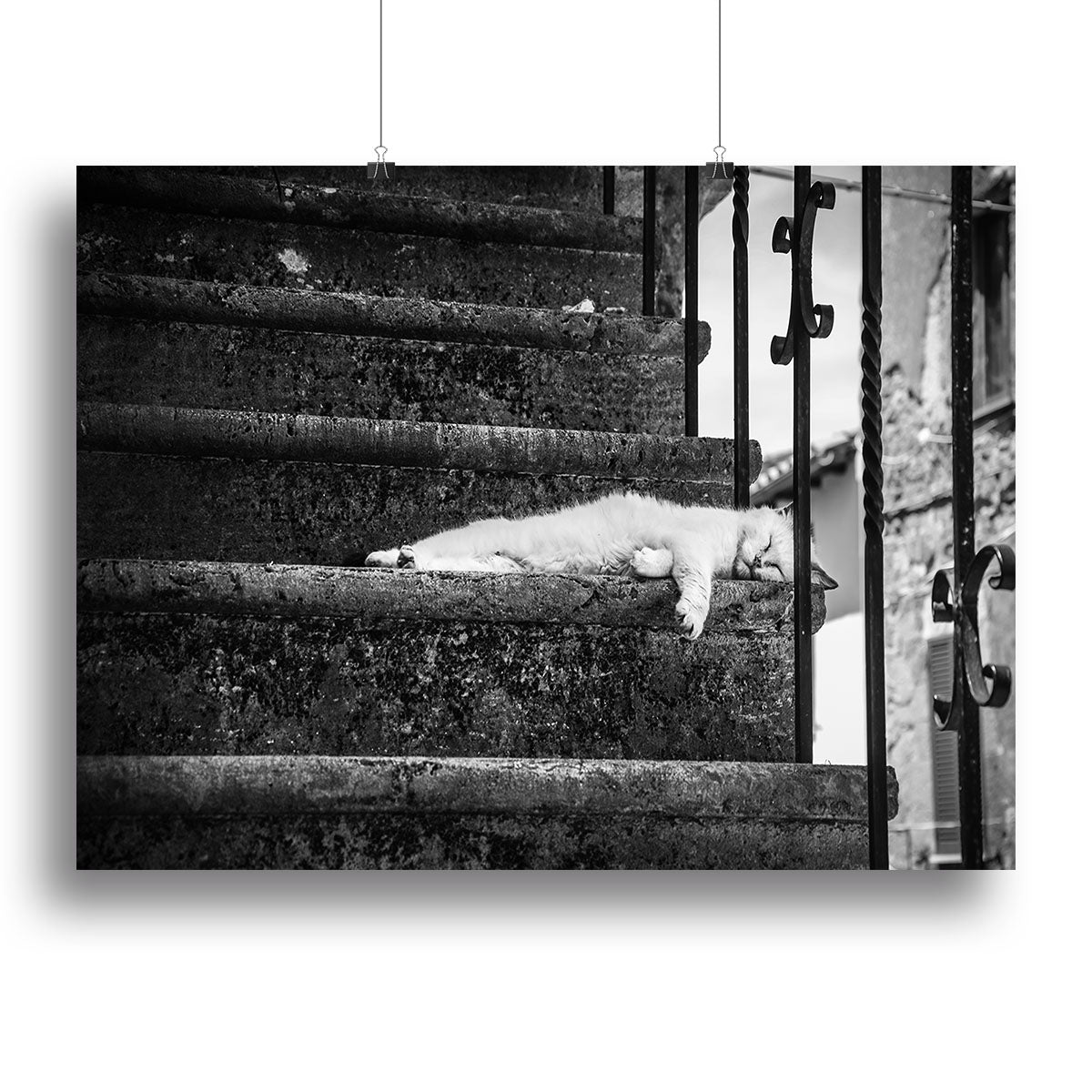 Slow life Canvas Print or Poster - 1x - 2