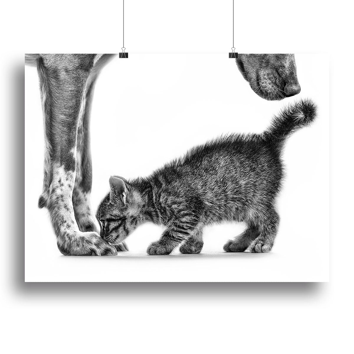 Smell me Canvas Print or Poster - 1x - 2