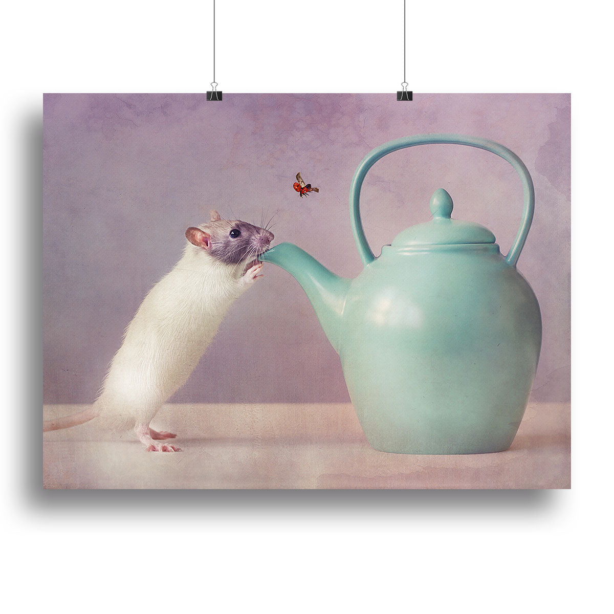 Snoozy Canvas Print or Poster - 1x - 2