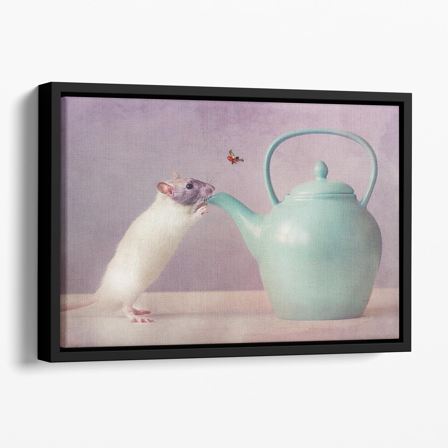 Snoozy Floating Framed Canvas - 1x - 1