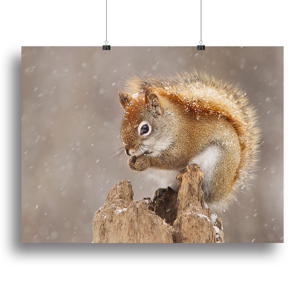 Snow Storm Canvas Print or Poster - 1x - 2