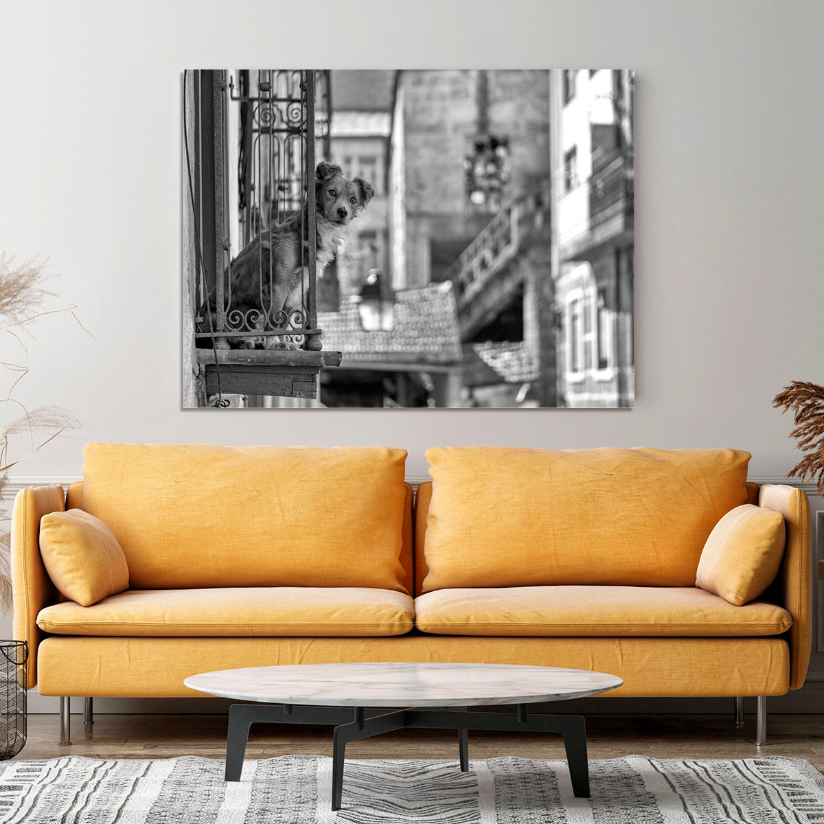 Street Dog Canvas Print or Poster - 1x - 4