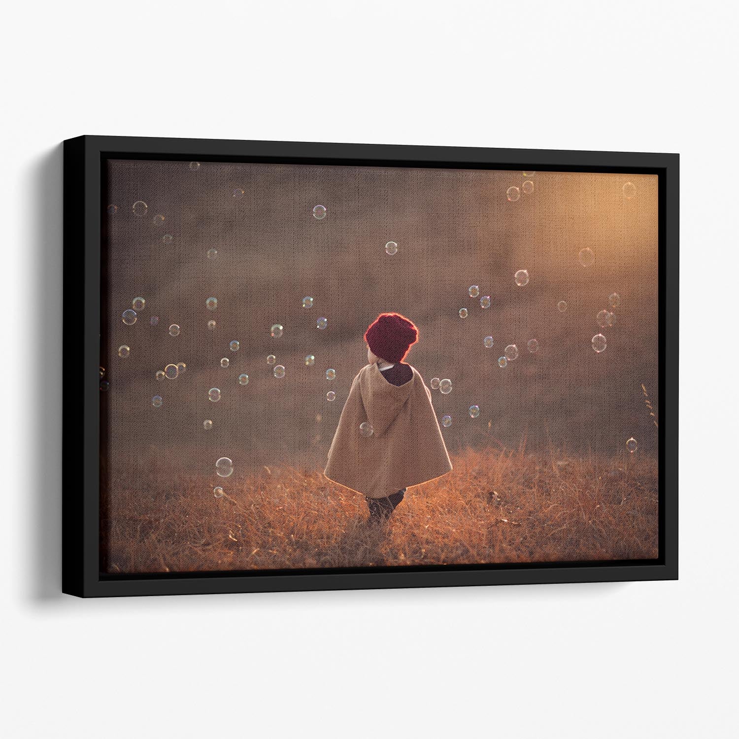 Symphony Floating Framed Canvas - 1x - 1