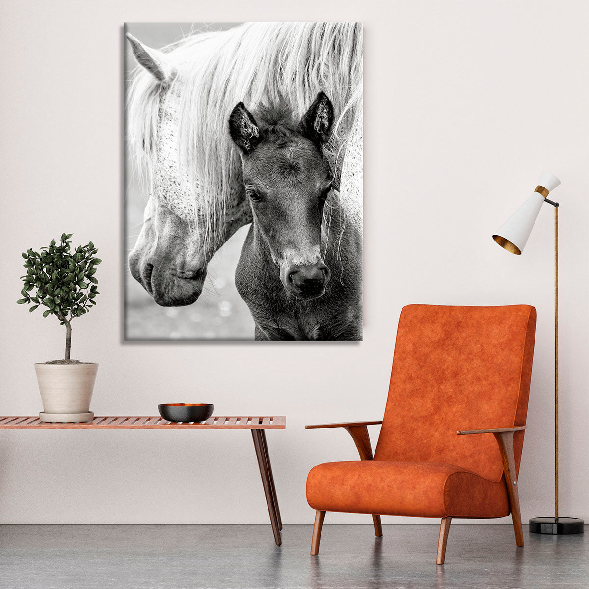 The Foal Canvas Print or Poster - 1x - 6