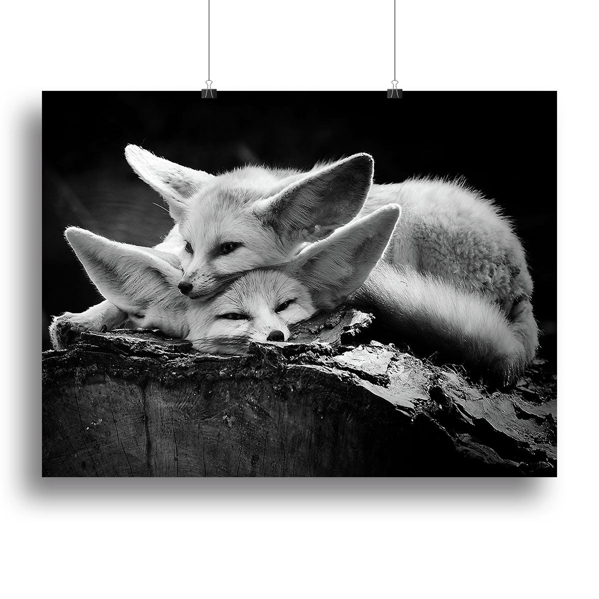 The happy couple Canvas Print or Poster - 1x - 2