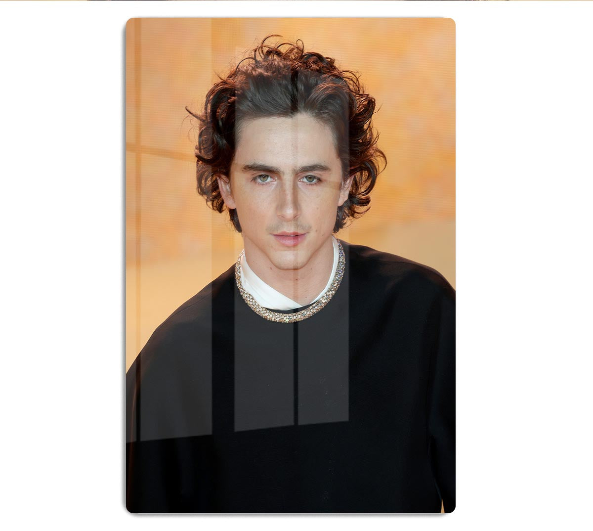 Timothee Chalamet at the premiere of Dune part two Acrylic Block - Canvas Art Rocks - 1