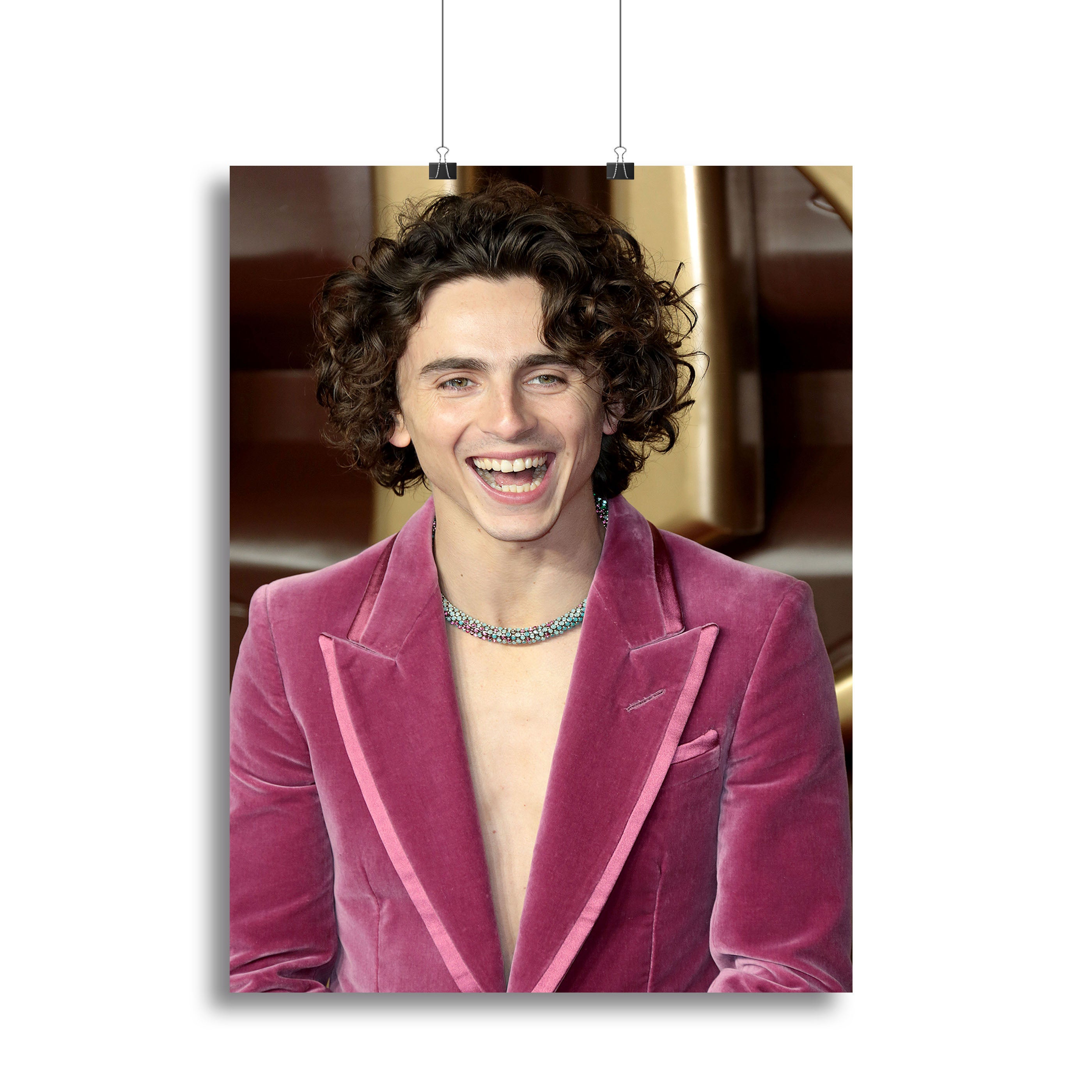 Timothee Chalamet at the premiere of Wonka Canvas Print or Poster - Canvas Art Rocks - 2