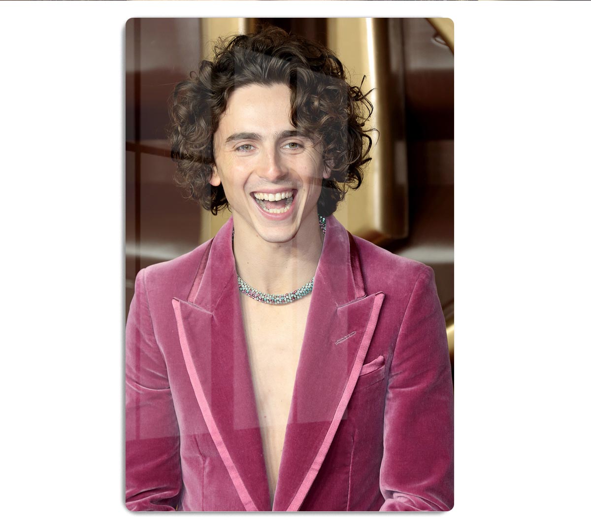 Timothee Chalamet at the premiere of Wonka Acrylic Block - Canvas Art Rocks - 1