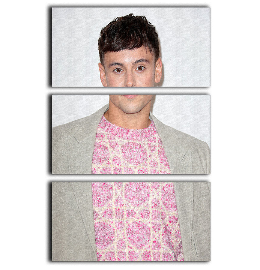 Tom Daley at GQ Men of the Year awards 3 Split Panel Canvas Print - Canvas Art Rocks - 1