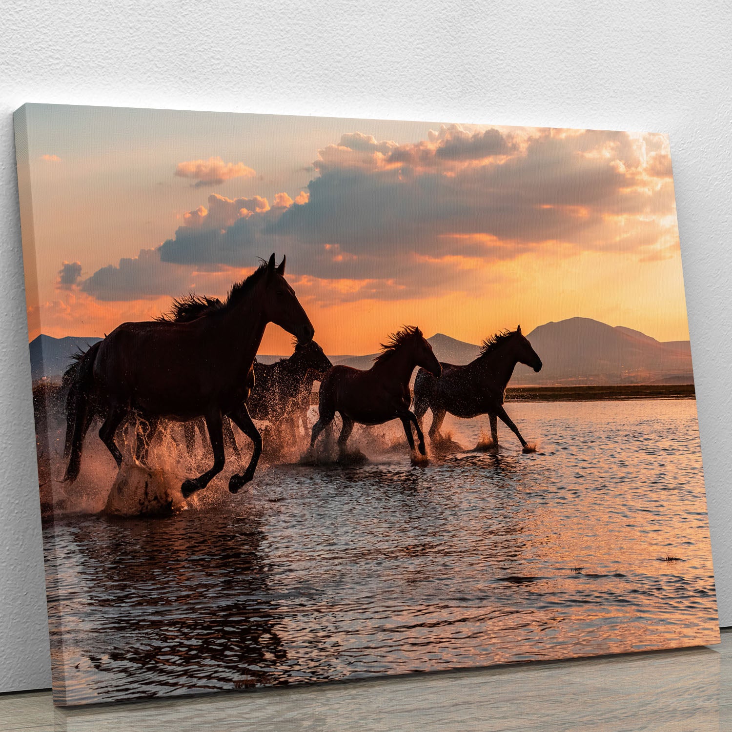 WATER HORSES Canvas Print or Poster - 1x - 1