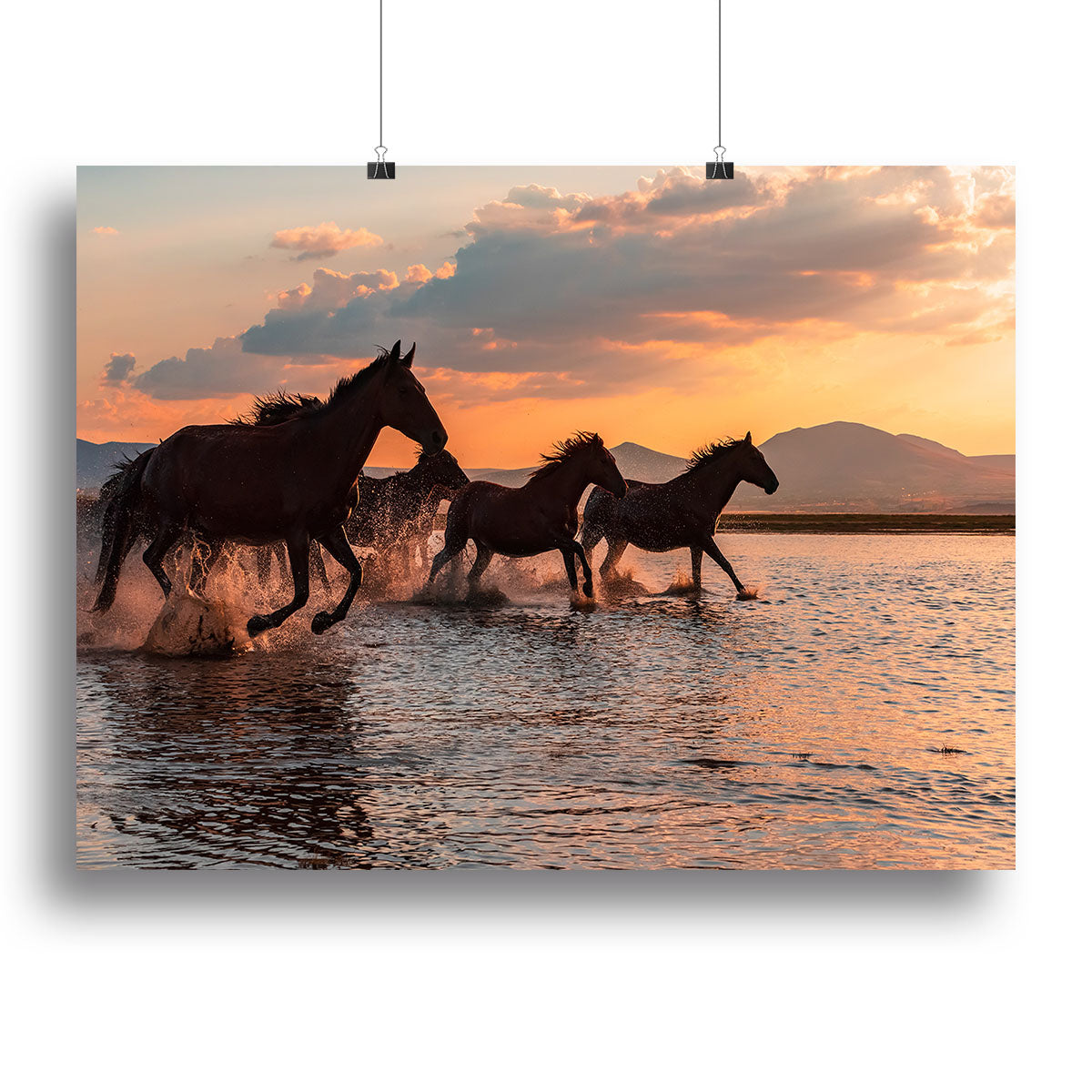 WATER HORSES Canvas Print or Poster - 1x - 2