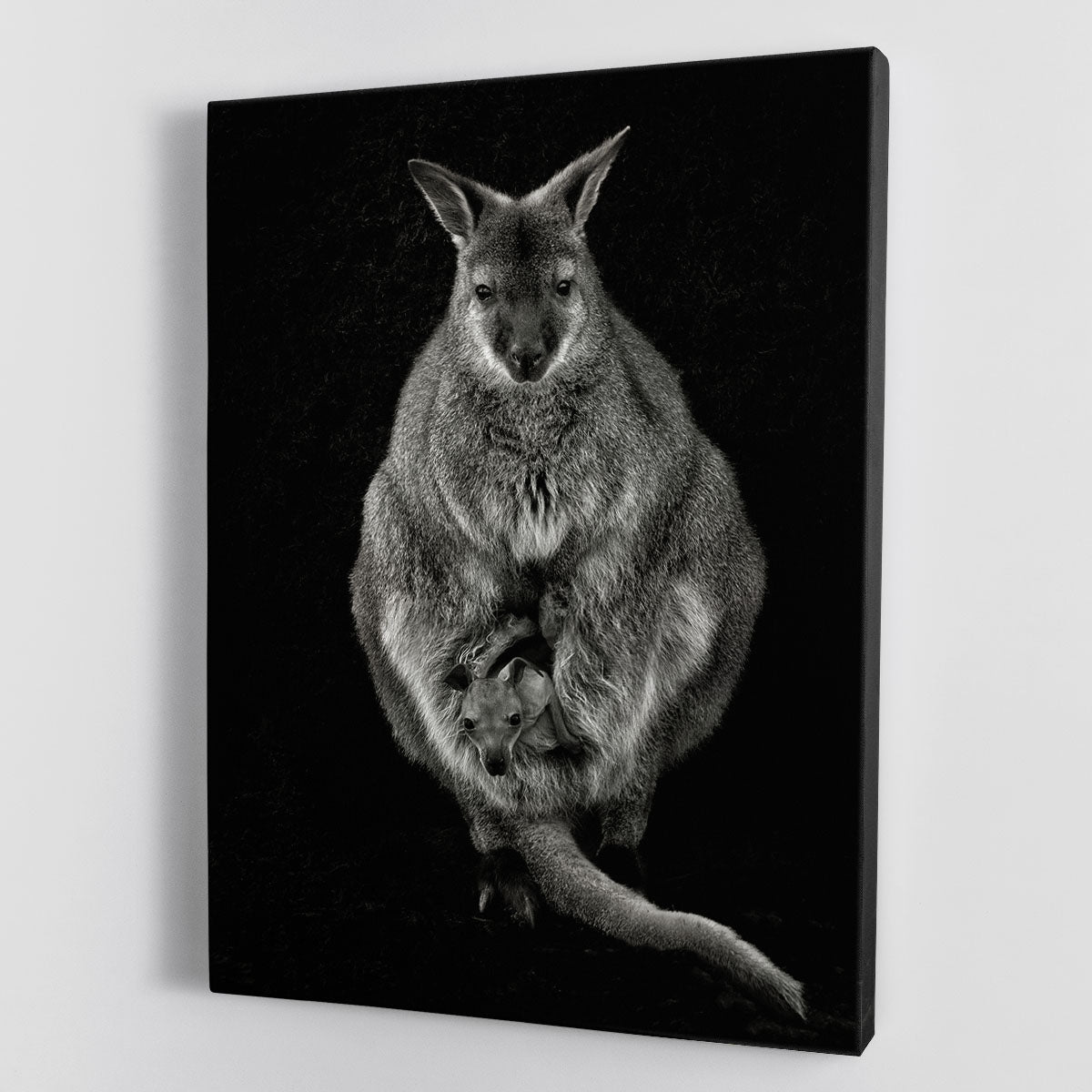 Want to emancipate Canvas Print or Poster - 1x - 1