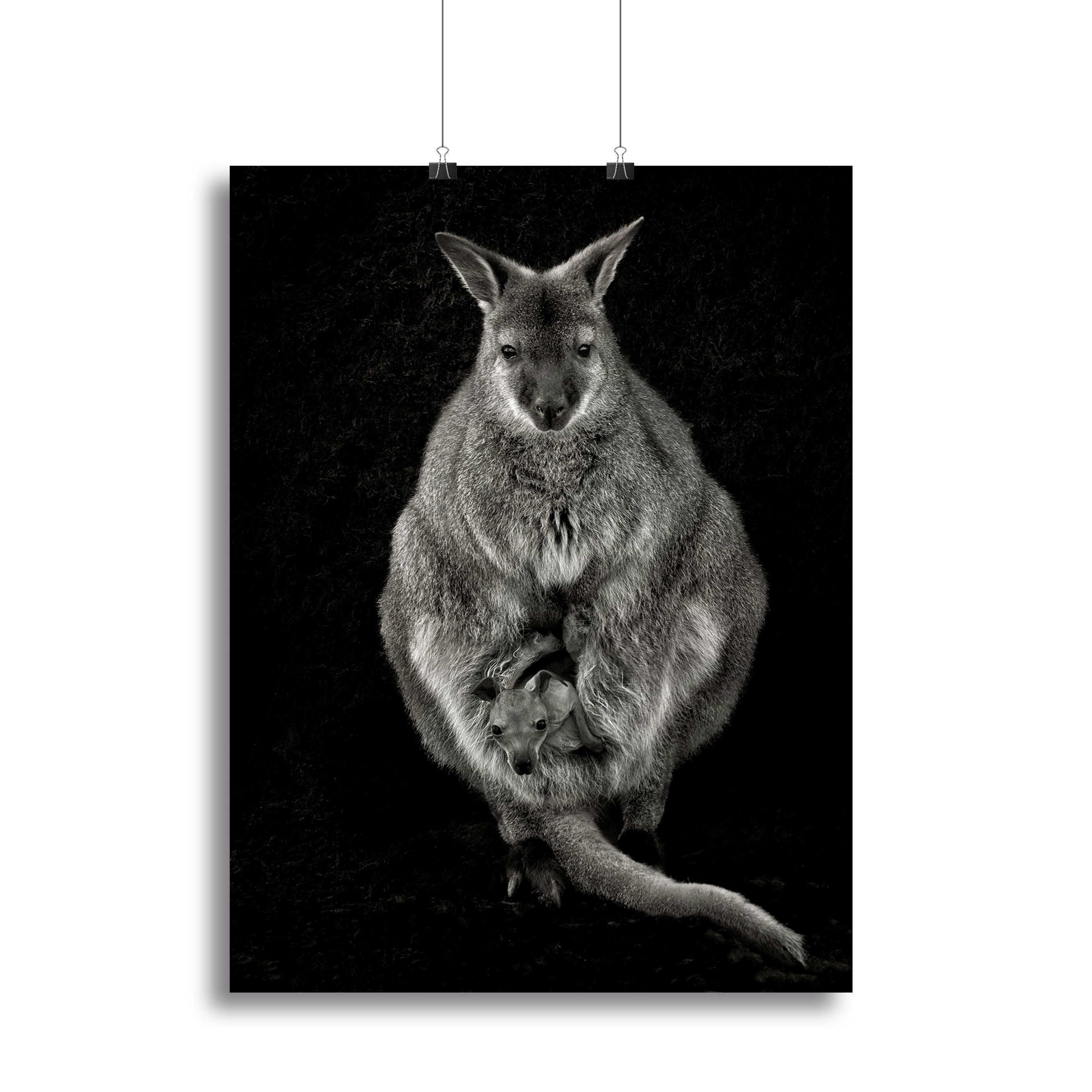 Want to emancipate Canvas Print or Poster - 1x - 2