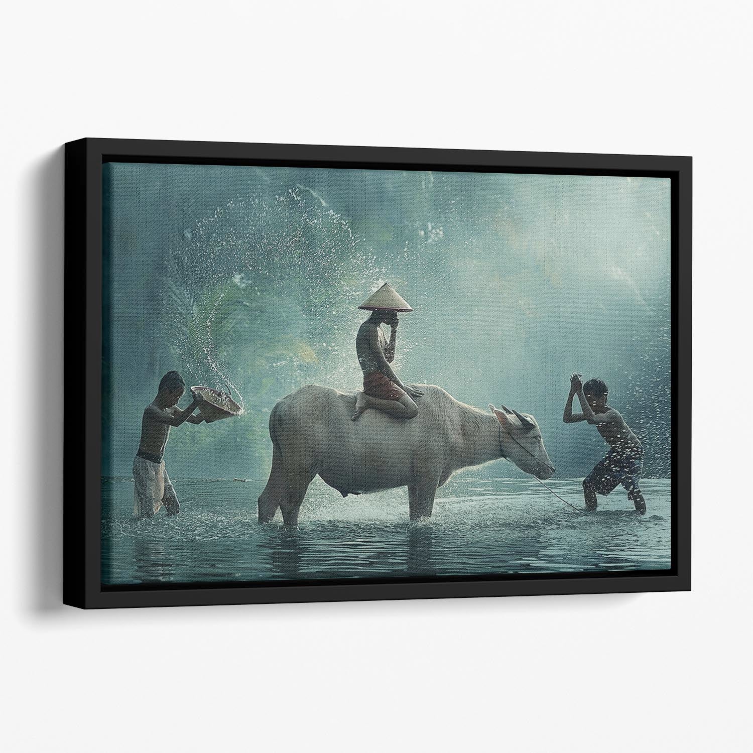 Water Buffalo Floating Framed Canvas - 1x - 1