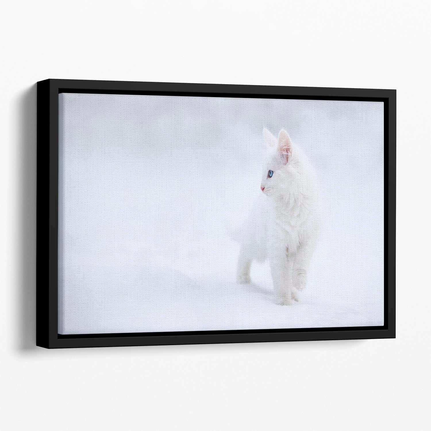 White as Snow Floating Framed Canvas - 1x - 1