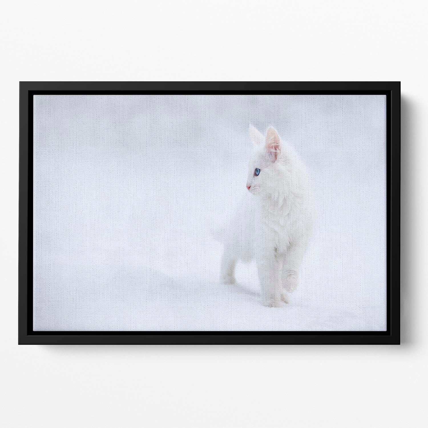 White as Snow Floating Framed Canvas - 1x - 2