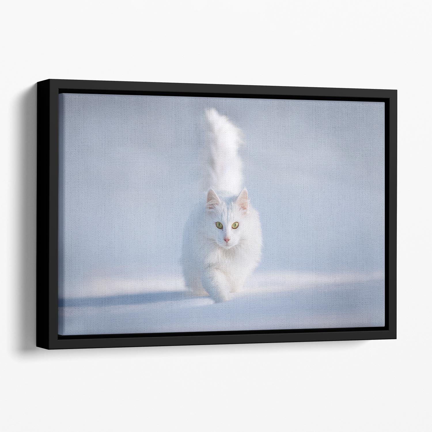 Yellow Eyes Floating Framed Canvas - 1x - 1