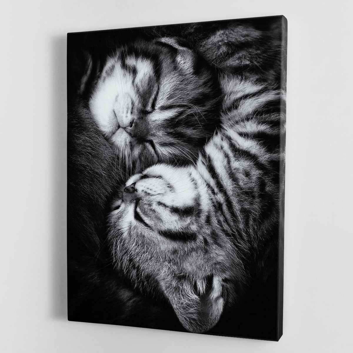 Yin and Yang Canvas Print or Poster - 1x - 1
