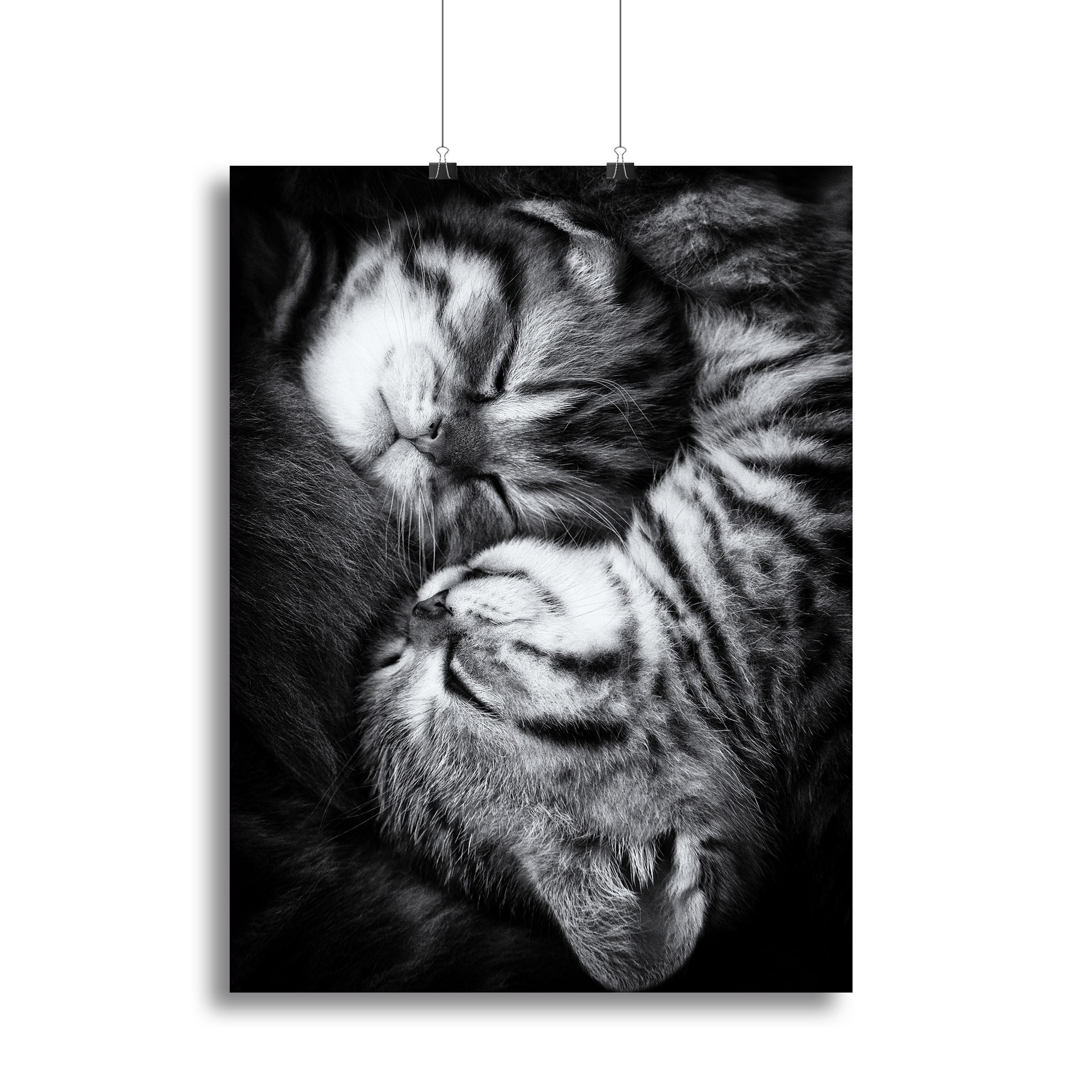 Yin and Yang Canvas Print or Poster - 1x - 2