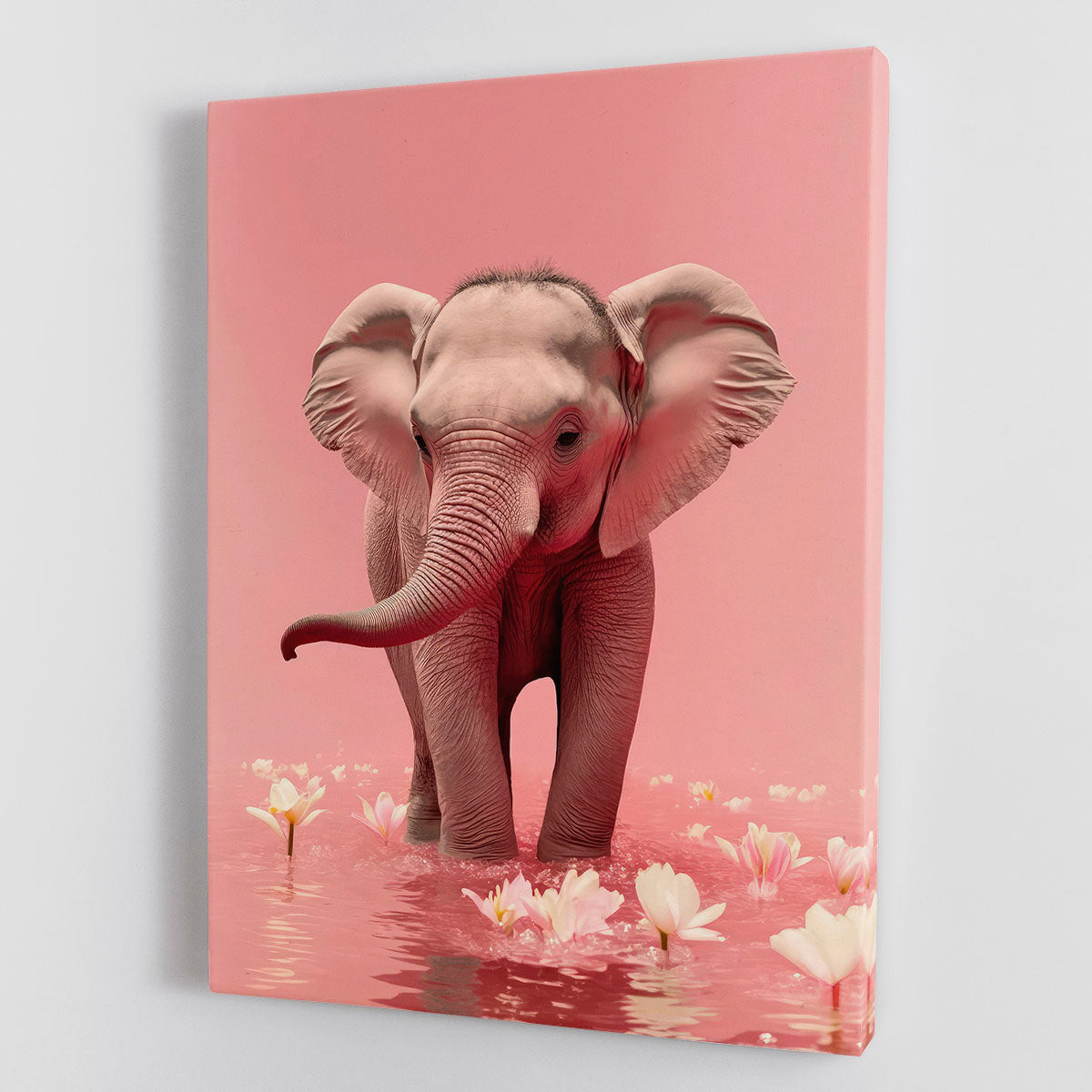 Young Elephant Canvas Print or Poster - 1x - 1