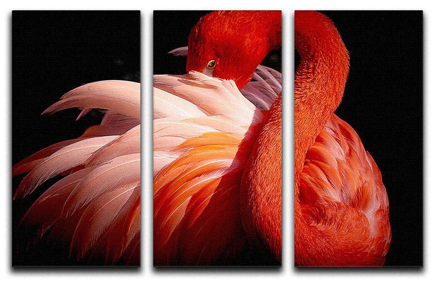 flamingo 3 Split Panel Canvas Print - 1x - 1
