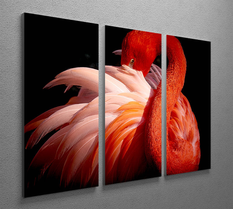 flamingo 3 Split Panel Canvas Print - 1x - 2
