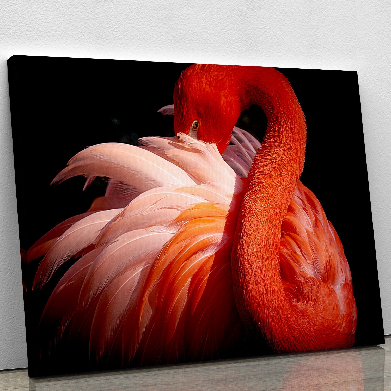 flamingo Canvas Print or Poster - 1x - 1