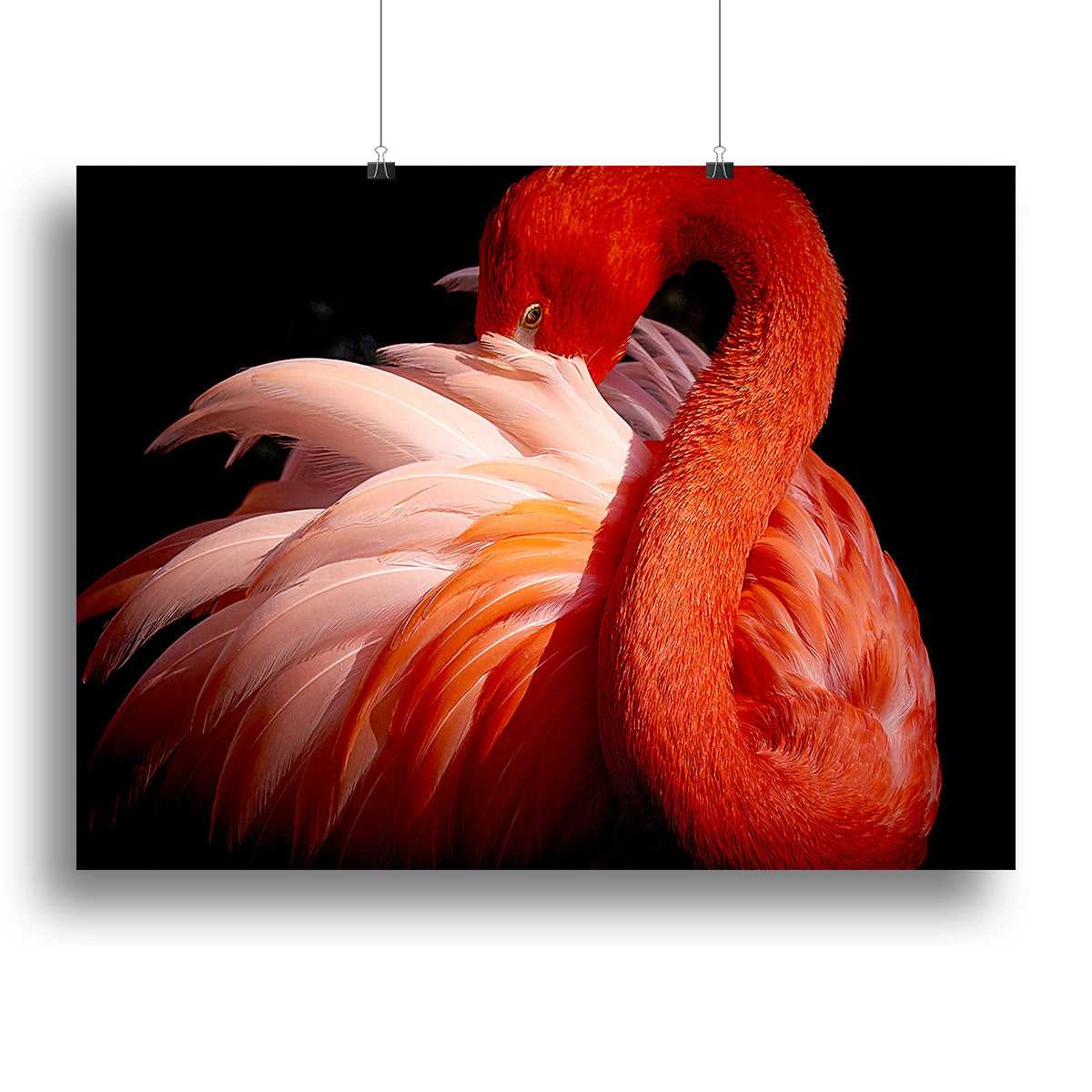 flamingo Canvas Print or Poster - 1x - 2
