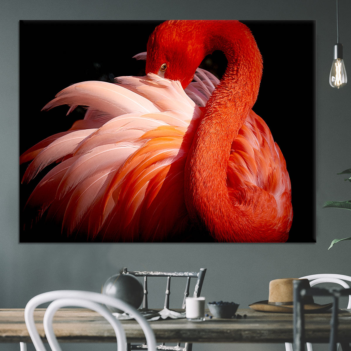 flamingo Canvas Print or Poster - 1x - 3