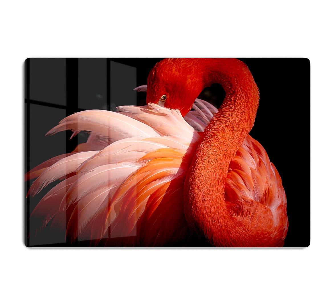 flamingo Acrylic Block - 1x - 1