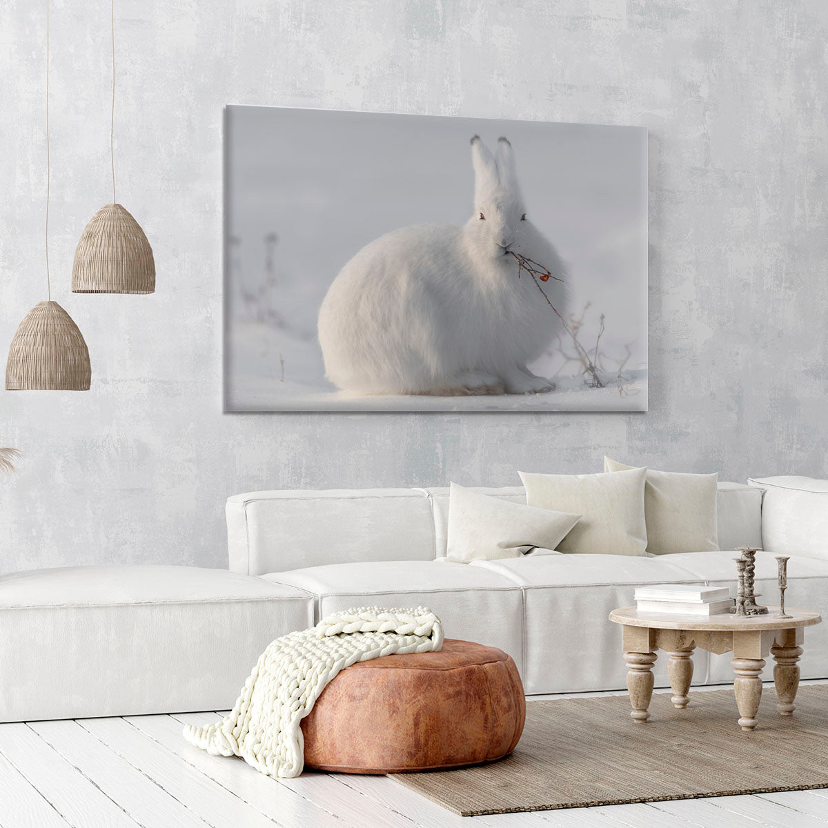 wild arctic hare Canvas Print or Poster - 1x - 6