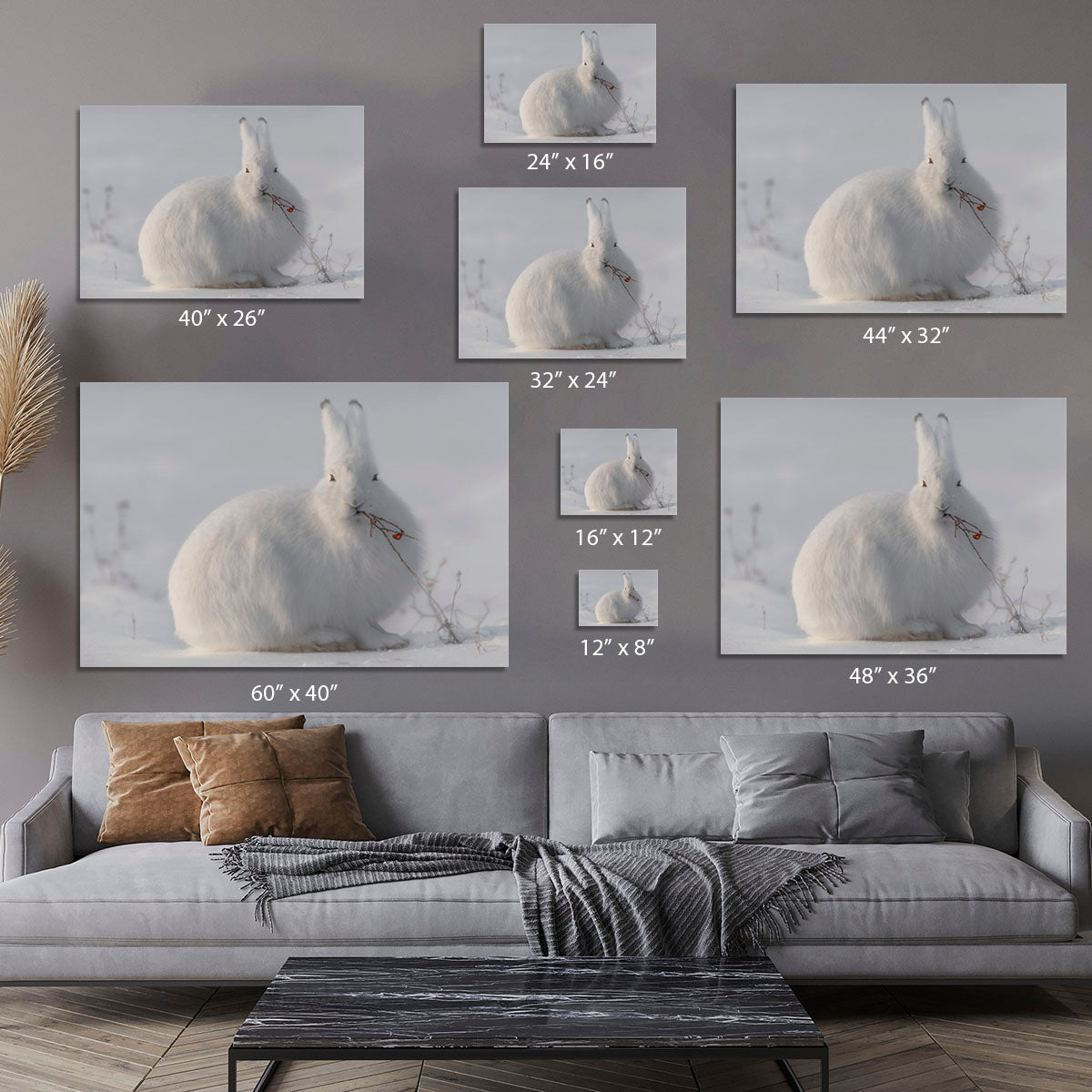 wild arctic hare Canvas Print or Poster - 1x - 7