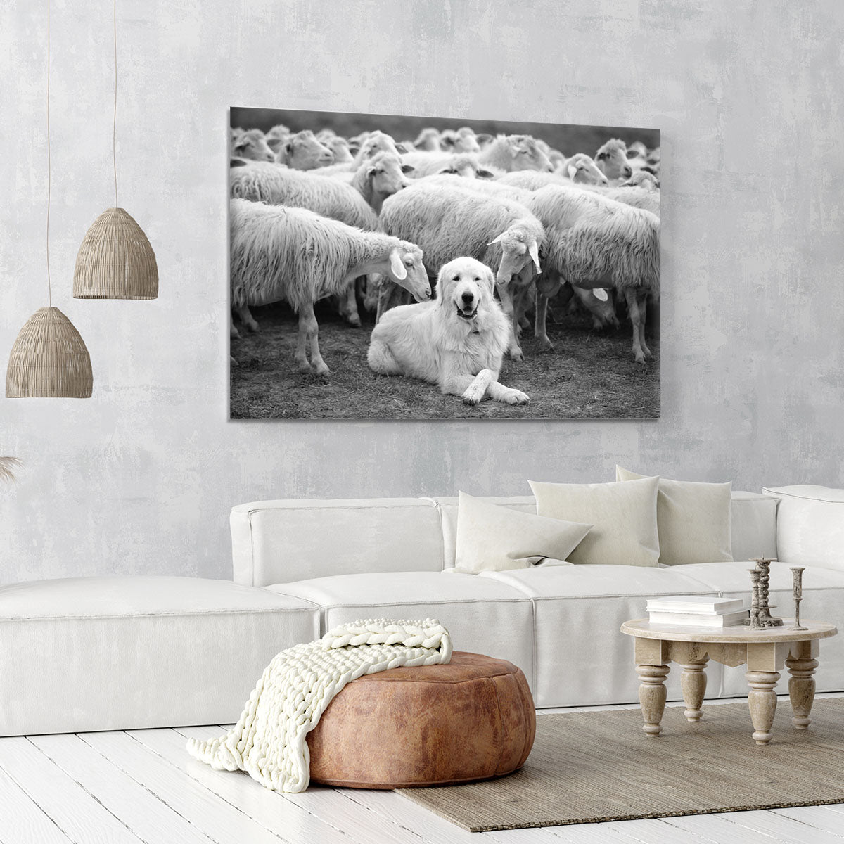 Lab Sat Infront Of Sheet Canvas Print or Poster - Canvas Art Rocks - 6