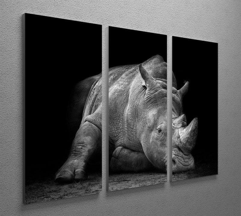 Black And White Rhink 3 Split Panel Canvas Print - Canvas Art Rocks - 2